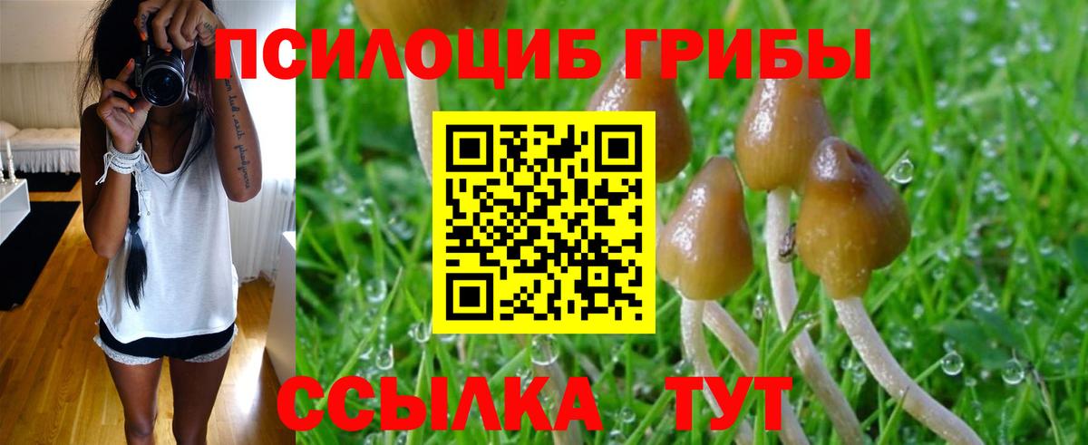 Псилоцибиновые грибы MAGIC MUSHROOMS Петрозаводск