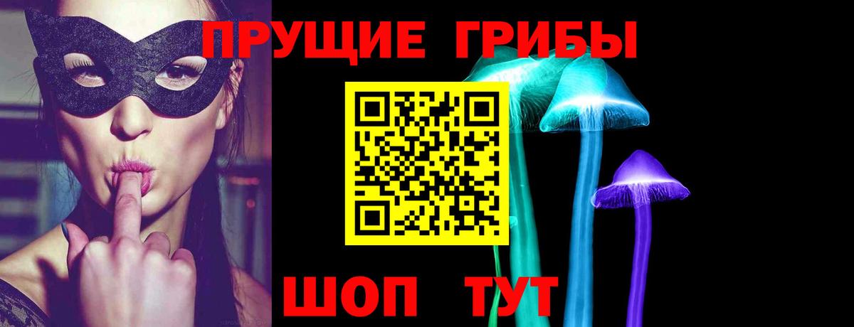 Галлюциногенные грибы Psilocybe  Вход с VPN  Петрозаводск 